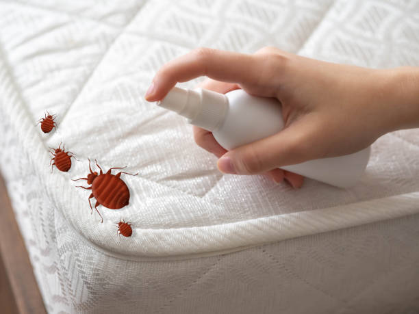 Best Real Estate Pest Inspections  in North Wantagh, NY